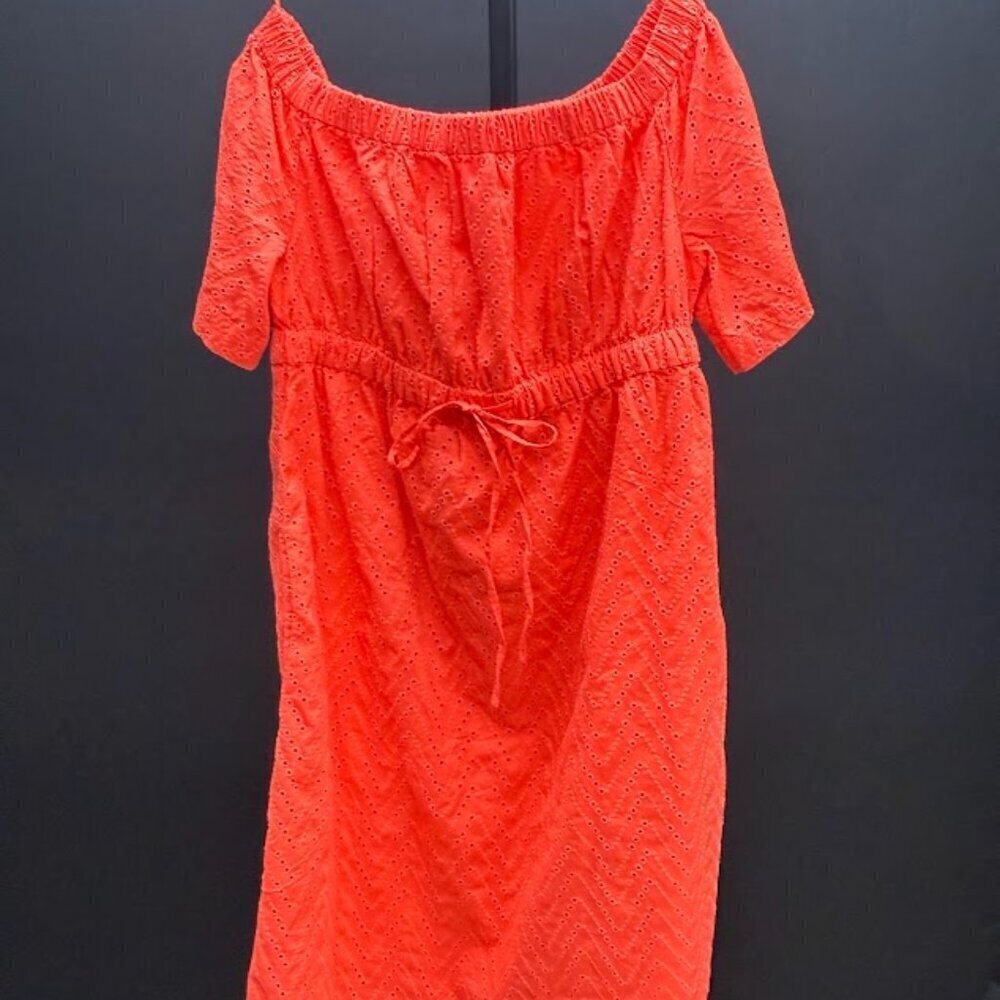 Gap Maternity Coral Eyelet Lace Dress